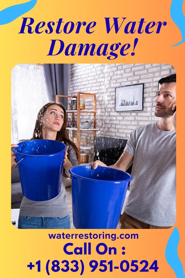 water restoration Titan Property Restoration Professionals Littlefork