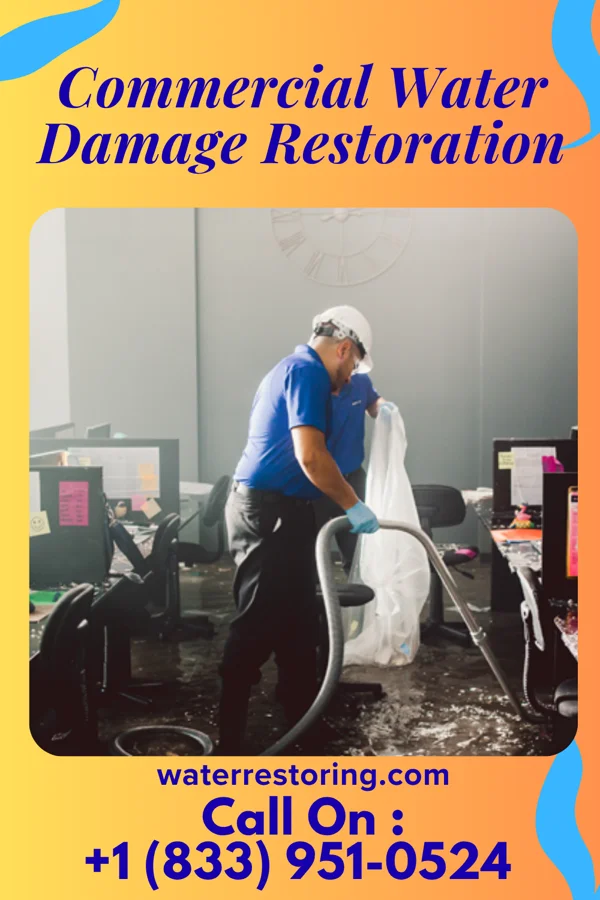 Commercial Water Damage Restoration in Littlefork, MN
